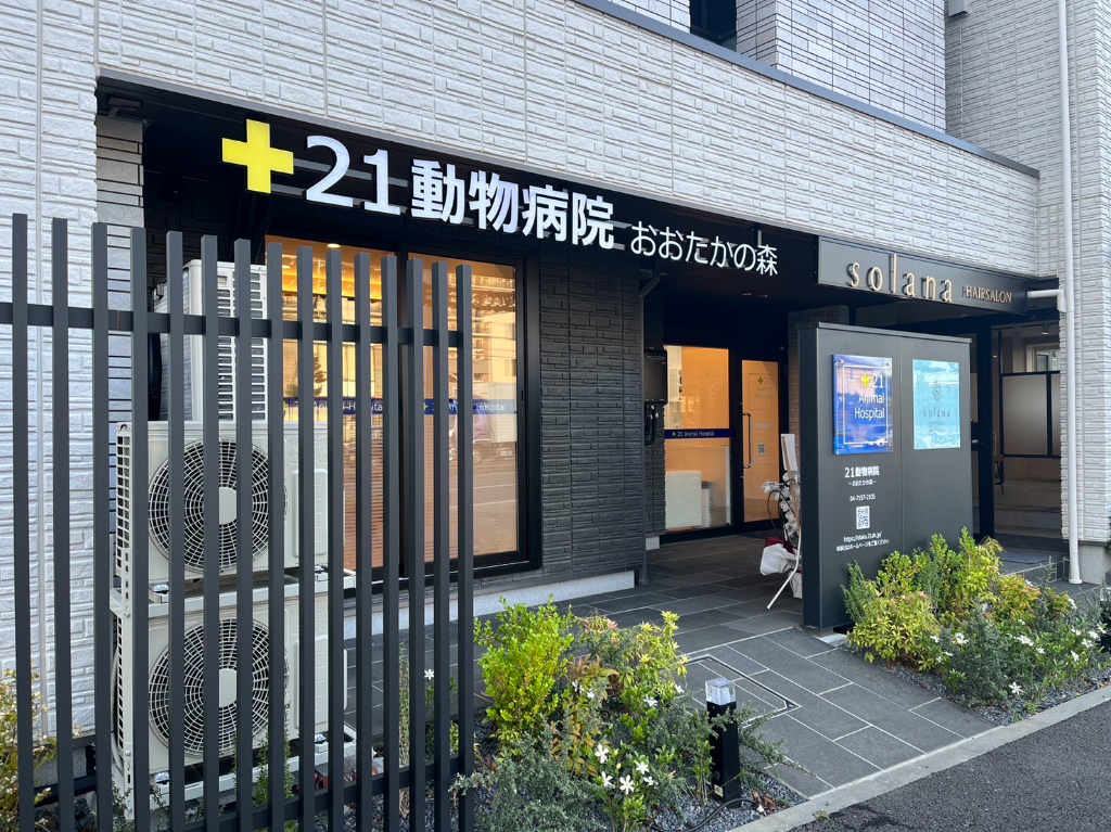 79f69097 cf79 46d4 b11a 274c00183195